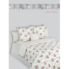 Asta Seta 